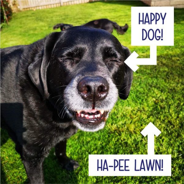 Woof & Brew HA-PEE Lawns - Stop Urine Burns 330ml - Image 3