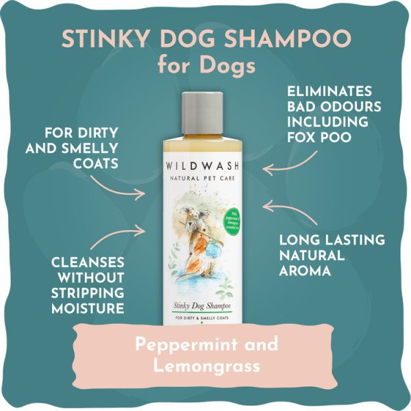 Wild Wash Stinky Shampoo For Dogs 250ml - Image 2