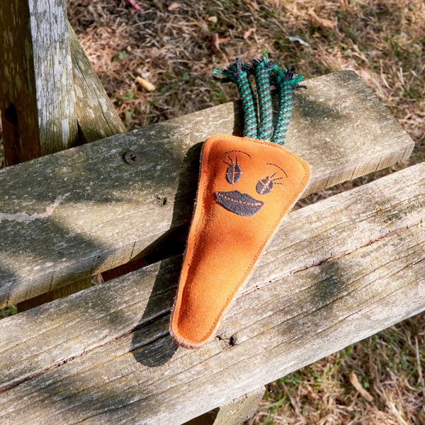 Candice The Carrot - Image 2