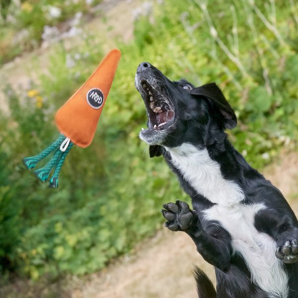 Candice The Carrot - Image 3