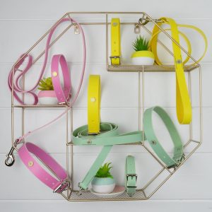 Candy Leather Collar Collection