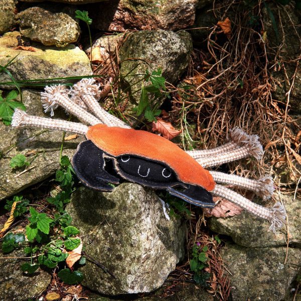 Carlos The Crab - Image 2