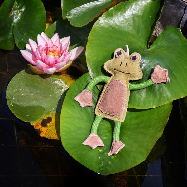 Francois Le Frog - Image 2