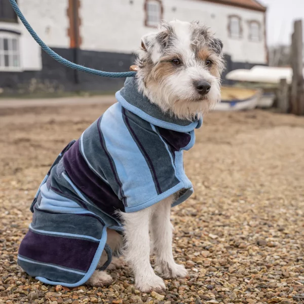 Design Collection Dog Drying Coats - Image 6
