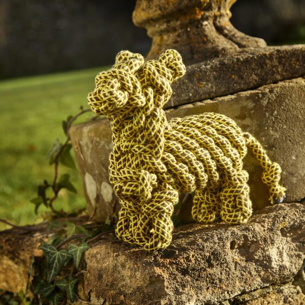 Lionel The Llama - Image 3