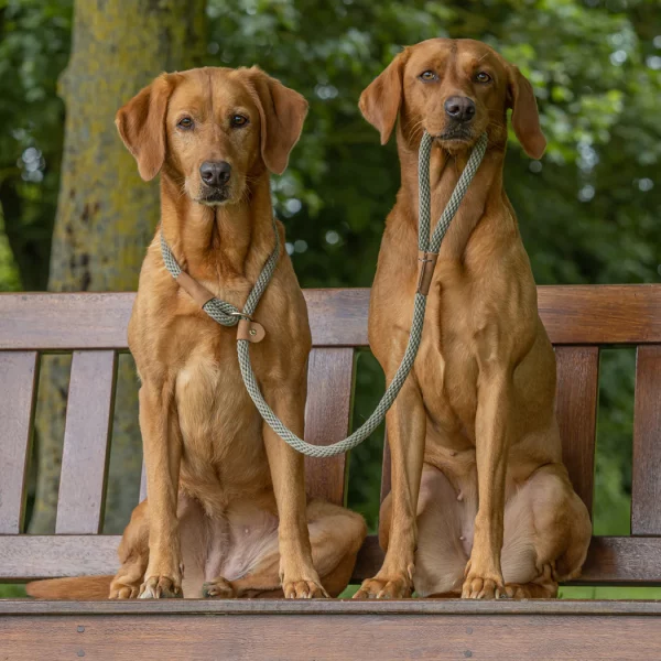 Ruff And Tumble Slip Leads - Image 2