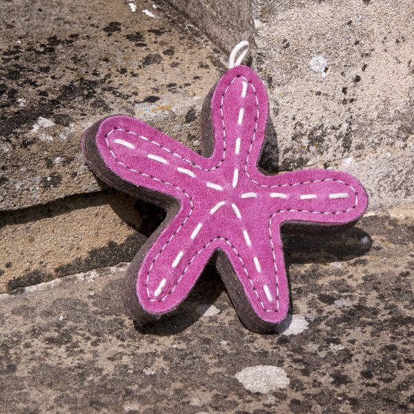 Stanley The Starfish - Image 2