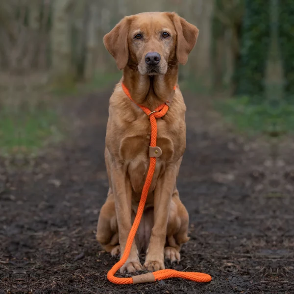 Ruff And Tumble Slip Leads - Image 9