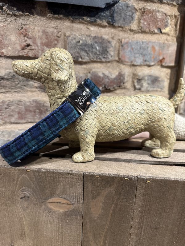 Tartan Collar Collection - Image 3