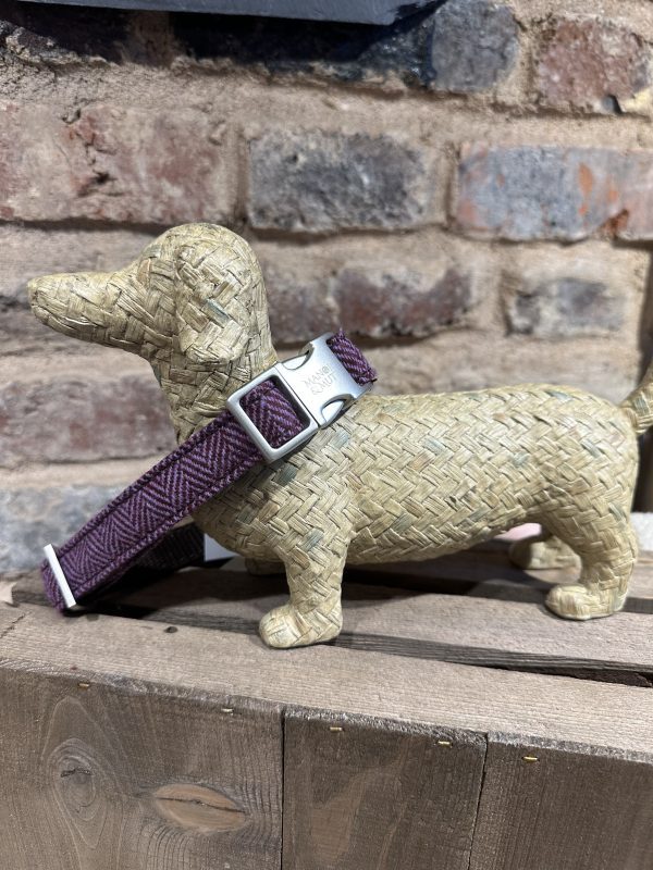 Tweed Collar Collection - Image 3