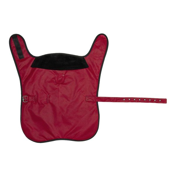 Premium Wax Dog Coat - Red - Image 2