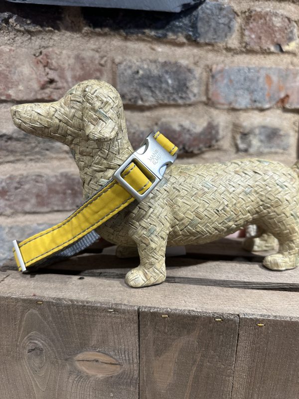 British Waxed Cotton Collar Collection - Image 3
