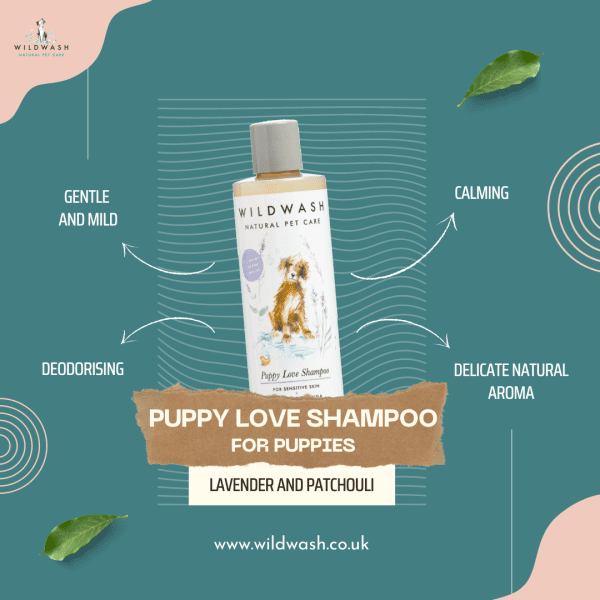 Puppy Love Shampoo For Puppies 250ml - Image 3