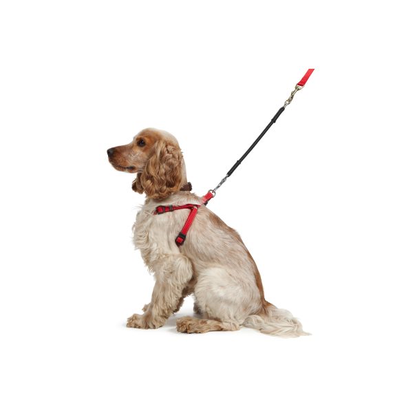 Bungee Shock Absorber - Image 3
