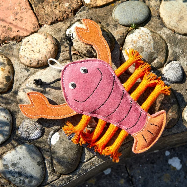 Larry the Lobster - Image 2