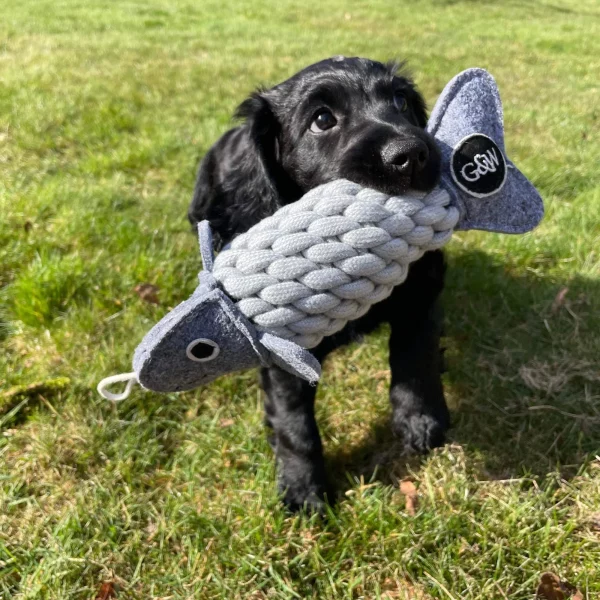 Roger the Ropefish - Image 6