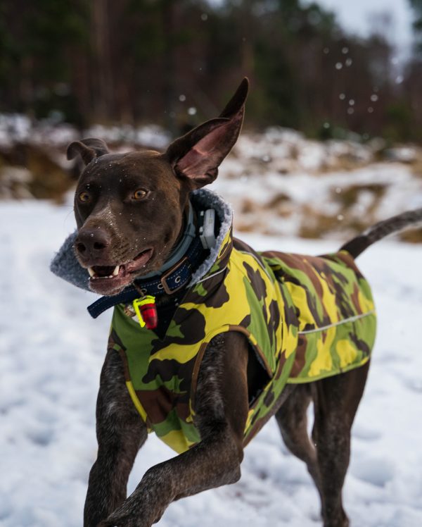 dryrobe Dog - Green Camo Grey - Image 3
