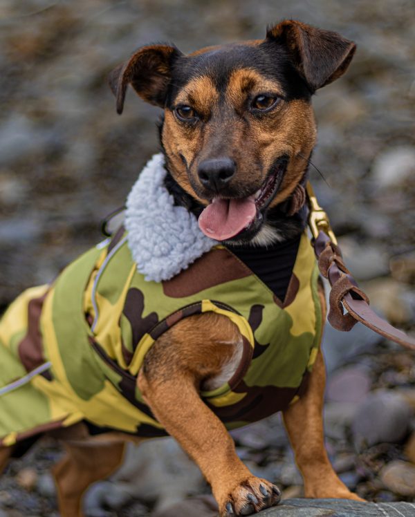 dryrobe Dog - Green Camo Grey - Image 6