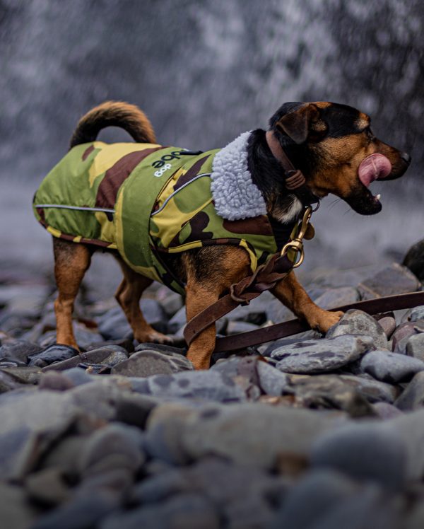 dryrobe Dog - Green Camo Grey - Image 4