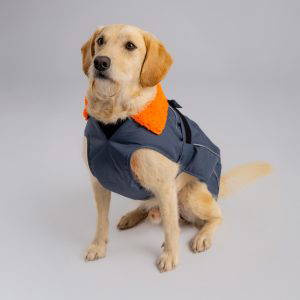 dryrobe Dog - Dark Grey Orange